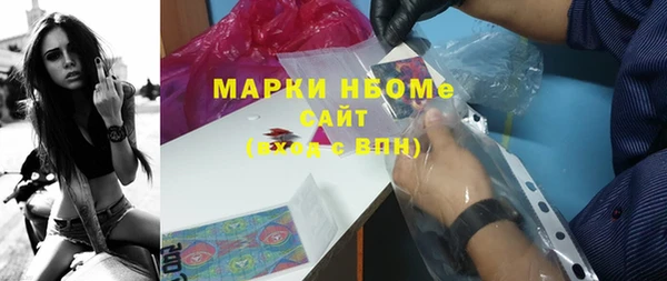 мдпв Богородицк