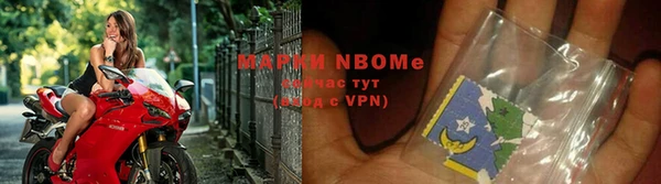 мдпв Богородицк
