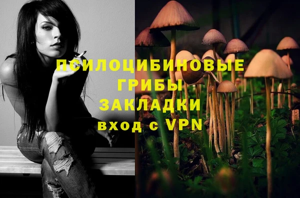 дживик Беломорск