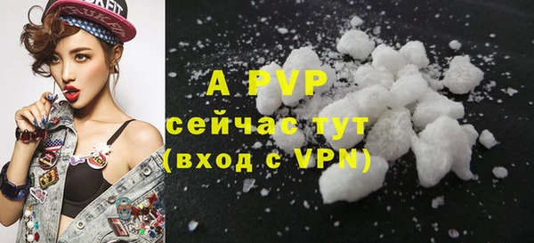 дживик Беломорск