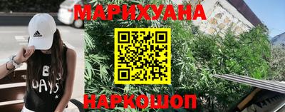 сатива Бузулук