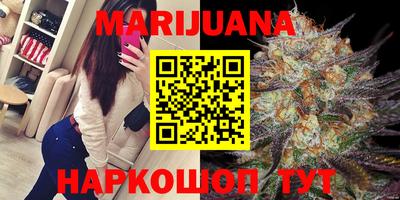 сатива Бузулук