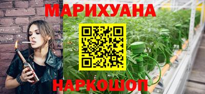 сатива Бузулук