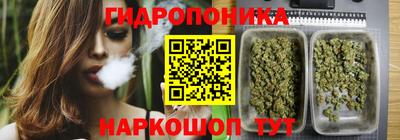 сатива Бузулук