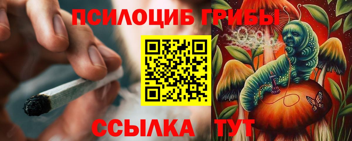 Псилоцибиновые грибы Magic Shrooms  Вход с VPN  Горячий Ключ 