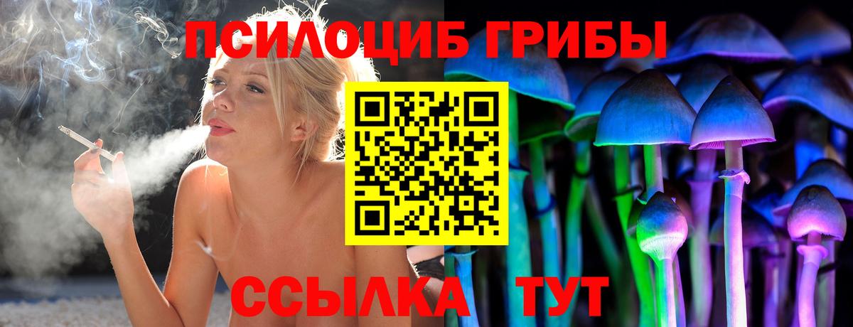 Псилоцибиновые грибы Psilocybine cubensis Горячий Ключ